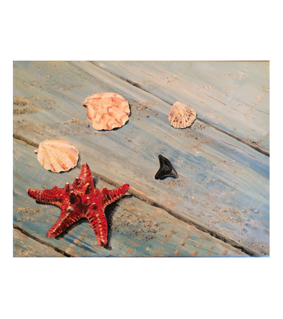 acrylic on canvas of starfish shark's tooth and seashells