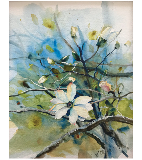 watercolor of magnolia starting to bloom